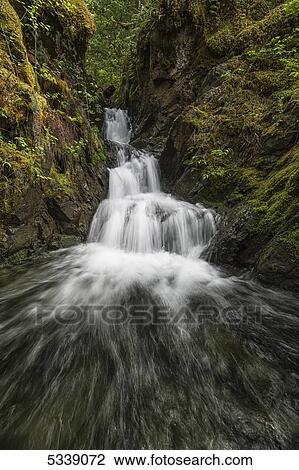 Unnamed stream and waterfall, Strathcona Provincial Park; British Columbia, Canada View Large Photo Image Stock Image - Unnamed stream and waterfall, Strathcona Provincial Park; British Columbia, Canada. Fotosearch