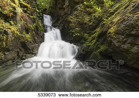 Unnamed stream and waterfall, Strathcona Provincial Park; British Columbia, Canada View Large Photo Image Stock Image - Unnamed stream and waterfall, Strathcona Provincial Park; British Columbia, Canada. Fotosearch