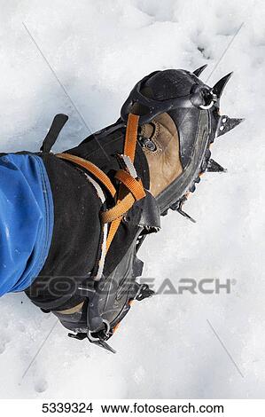 Picture - View of a hiker's foot wearing a crampon standing on the Matanuska Glacier; Alaska, United States of America. Fotosearch