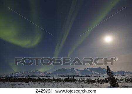 View of the Aurora Borealis (Northern Lights) dancing above the Alaska Range along the Parks Highway at Broad Pass; Alaska, United States of America View Large Photo Image Stock Image - View of the Aurora Borealis (Northern Lights) dancing above the Alaska Range along the Parks Highway at Broad Pass; Alaska, United States of America. Fotosearch