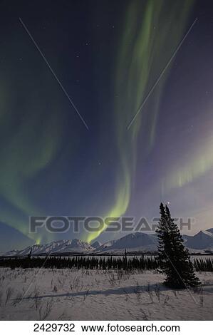 Stock Image - View of the Aurora Borealis (Northern Lights) dancing above the Alaska Range along the Parks Highway at Broad Pass; Alaska, United States of America. Fotosearch