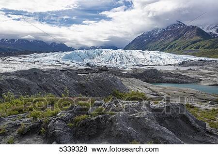 View of the face of Matanuska Glacier with dwarf fireweed and rocks in the foreground; Alaska, United States of America View Large Photo Image Stock Photo - View of the face of Matanuska Glacier with dwarf fireweed and rocks in the foreground; Alaska, United States of America. Fotosearch