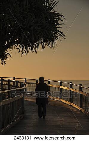 Stock Image - Walking on an esplanade at the water's edge at sunset with silhouette of palm tree; Caloundra, Queensland, Australia. Fotosearch