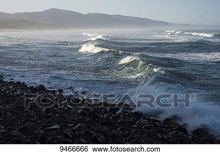 Waves breaking along the Oregon coast; Manzanita, Oregon, United States of America View Large Photo Image Stock Photograph - Waves breaking along the Oregon coast; Manzanita, Oregon, United States of America. Fotosearch
