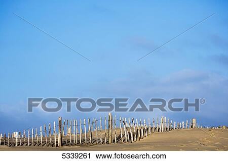 Wooden post fence along a beach with blue sky; South Shields, Tyne and Wear, England View Large Photo Image Stock Image - Wooden post fence along a beach with blue sky; South Shields, Tyne and Wear, England. Fotosearch