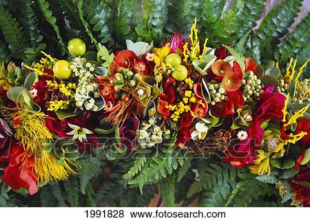ハワイ Haku レイ 変化 の 花 植物 シダ 写真館 イメージ館 Fotosearch