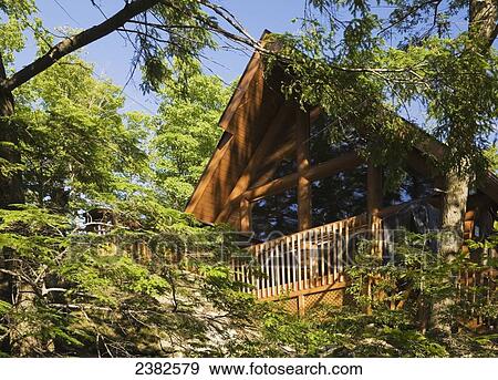 住宅の 家丸太 によって 木 中に Summertime Laurentians ケベック カナダ 写真館 イメージ館 Fotosearch