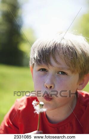 10-Year-Old Boy Blowing On Dandelion Seed Head; Langley British Columbia Canada View Large Photo Image Stock Photography - 10-Year-Old Boy Blowing On Dandelion Seed Head; Langley British Columbia Canada. Fotosearch