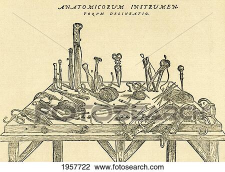 Stock Image - 16Th Century Surgical Instruments, From De Humani Corporis Fabrica Libri Septem (On The Fabric Of The Human Body In Seven Books) By Andreas Vesalius, Published Basel, 1543. This Image After A 19Th Century Reproduction.. Fotosearch