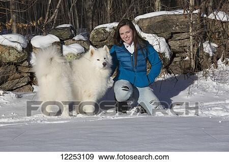 18-year-old girl with Samoyed dog in the snow; Ledyard, Connecticut, USA View Large Photo Image Stock Photo - 18-year-old girl with Samoyed dog in the snow; Ledyard, Connecticut, USA. Fotosearch