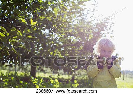 Stock Photo - 2-year-old boy biting into just picked apple in orchard; Ontario, Canada. Fotosearch