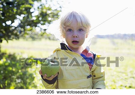 Stock Photograph - 2-year-old boy holds freshly picked apple in orchard; Ontario, Canada. Fotosearch