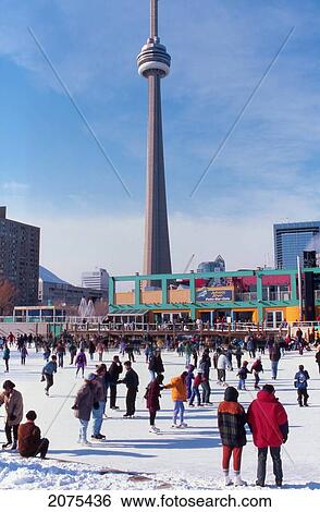3526-0039-20, Harbourfront, Skating, Cn Tower, Toronto, Ontario, Canada View Large Photo Image Stock Photograph - 3526-0039-20, Harbourfront, Skating, Cn Tower, Toronto, Ontario, Canada. Fotosearch