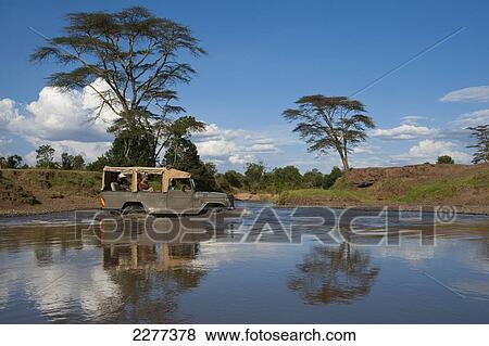 4x4 crossing river, Ol Pejeta Conservancy; Kenya View Large Photo Image Stock Photo - 4x4 crossing river, Ol Pejeta Conservancy; Kenya. Fotosearch