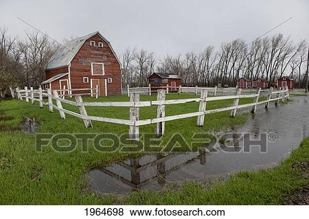A Barn And White Fence Surrounded By Pools Of Water From Flooding; St. Francois Xavier Manitoba Canada View Large Photo Image Stock Photo - A Barn And White Fence Surrounded By Pools Of Water From Flooding; St. Francois Xavier Manitoba Canada. Fotosearch
