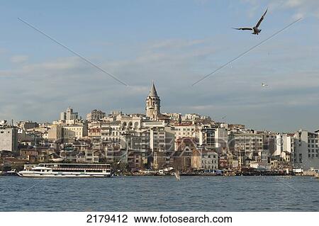 Stock Image - A Bird In Flight Over The Water And A View Of Boats In The Waterfront; Istanbul Turkey. Fotosearch