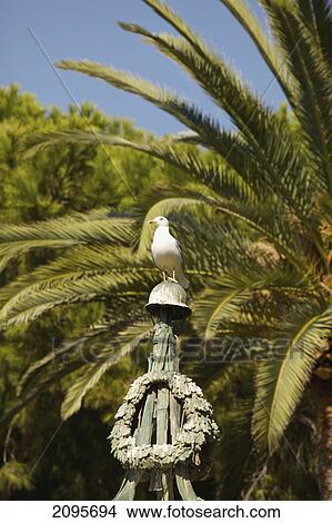 Picture - A Bird Perched On A Metal Sculpture With A Palm Tree In The Background; Ventimiglia Italy. Fotosearch
