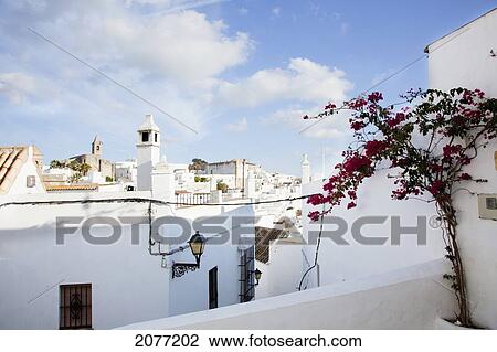 Stock Image - A Blossoming Vine Growing Along The Side Of A White Building With A Cityscape Of White Buildings; Vejer De La Frontera Andalusia Spain. Fotosearch
