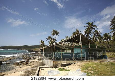 A blue building at the water's edge with palm trees; Bequia Island, St. Vincent and the Grenadines View Large Photo Image Picture - A blue building at the water's edge with palm trees; Bequia Island, St. Vincent and the Grenadines. Fotosearch