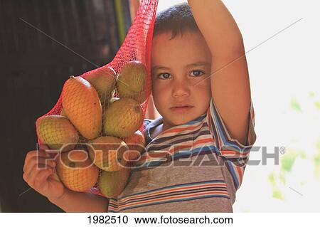 Stock Image - A Boy Holds Fruit In A Mesh Bag At A Roadside Fruit Stand Near Los Cabos Area; San Jose Del Cabo Baja California Sur Mexico. Fotosearch