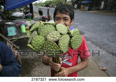 A boy sells a unique green plant; Pakse, Champasak Province, Laos View Large Photo Image Stock Image - A boy sells a unique green plant; Pakse, Champasak Province, Laos. Fotosearch