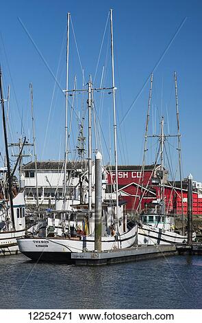 Stock Image - A breeze ripples the water in the Port of Ilwaco; Ilwaco, Washington, United States of America. Fotosearch