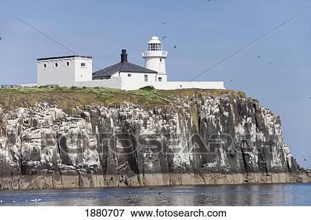 Stock Photo - A Building And Lighthouse At The Edge Of A Cliff; Farne Islands, Northumberland, England. Fotosearch