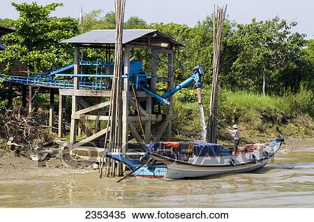 A Burmese Man Loads Ice Onto His Long Tail Boat On The Twante Canal Off Of The Yangon River; Yangon, Myanmar View Large Photo Image Stock Photography - A Burmese Man Loads Ice Onto His Long Tail Boat On The Twante Canal Off Of The Yangon River; Yangon, Myanmar. Fotosearch