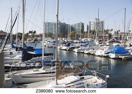 A busy harbour full of boats; California, United States of America View Large Photo Image Stock Image - A busy harbour full of boats; California, United States of America. Fotosearch