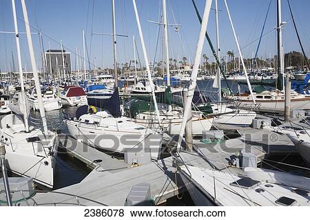 A busy harbour full of boats; California, United States of America View Large Photo Image Stock Photo - A busy harbour full of boats; California, United States of America. Fotosearch