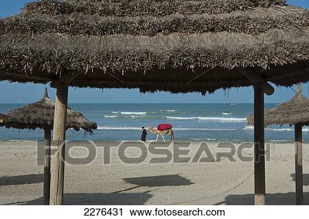 Stock Image - A camel ride operator parades his camel on a deserted beach; Djerba, Tunisia. Fotosearch