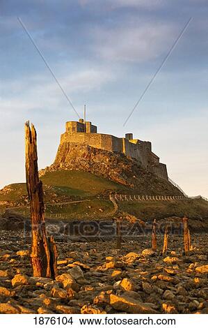 Picture - A Castle On The Tidal Island Also Known As Holy Island; Lindisfarne, Northumberland, England. Fotosearch