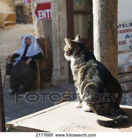 Stock Photo - A Cat Sits On A Wooden Crate In The Sunlight And A Woman Sits On A Chair Outside A Shop; Ortahisar Nevsehir Turkey. Fotosearch