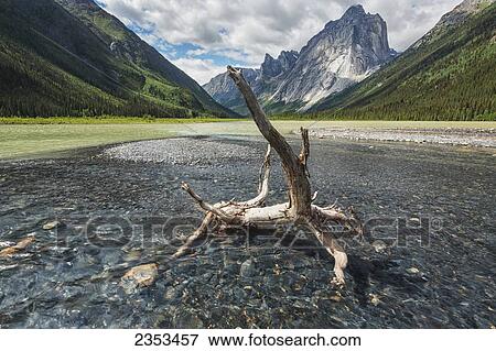 A Clear Stream Flows Into Glacier Lake In Front Of Mount Harrison Smith; Northwest Territories, Canada View Large Photo Image Stock Photo - A Clear Stream Flows Into Glacier Lake In Front Of Mount Harrison Smith; Northwest Territories, Canada. Fotosearch