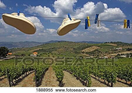 Stock Photography - A Close Up View Of A Washing Line With The Vineyards Of The Douro Valley. Fotosearch