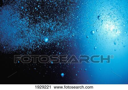 Stock Image - A Cloud Of Small Bubbles Head Towards The Surface; Rikoriko Cave, Poor Knights Islands, New Zealand. Fotosearch
