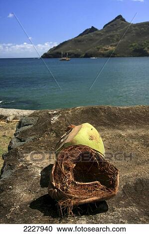 Stock Image - A coconut and a coconut husk nestle in the curvature of a sacrificial stone on the island of Niku Hiva, French Polynesia.Copyright Michelle Dry / Axiom. Fotosearch