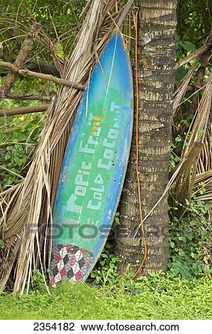 Stock Image - A colorful surfboard sign from a roadside fruit stand on the North shore; Oahu, Hawaii, United States of America. Fotosearch