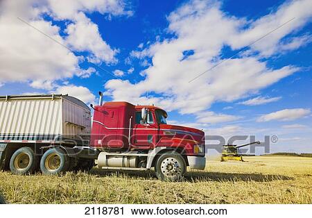 Stock Image - A Combine Harvester Works In A Canola Field With A Farm Truck In The Foreground; Somerset Manitoba Canada. Fotosearch
