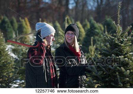 A couple choosing and cutting a fresh Christmas tree at a Christmas tree farm; Minnesota, United States of America View Large Photo Image Stock Photograph - A couple choosing and cutting a fresh Christmas tree at a Christmas tree farm; Minnesota, United States of America. Fotosearch