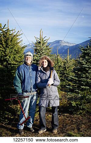 Stock Image - A couple searching for a Christmas tree; Chilliwack, British Columbia, Canada. Fotosearch