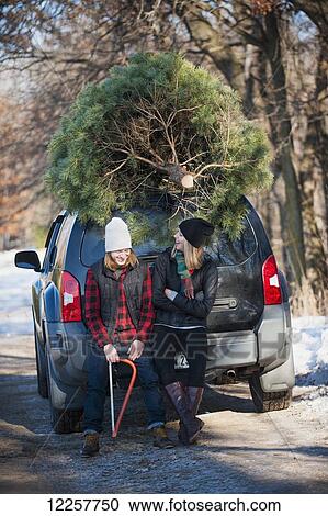A couple sits on their vehicle with their fresh cut Christmas tree at a Christmas tree farm; Minnesota, United States of America View Large Photo Image Stock Image - A couple sits on their vehicle with their fresh cut Christmas tree at a Christmas tree farm; Minnesota, United States of America. Fotosearch