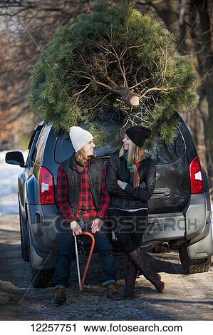 Stock Image - A couple sits on their vehicle with their fresh cut Christmas tree at a Christmas tree farm; Minnesota, United States of America. Fotosearch