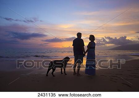 Stock Photography - A couple stands with their dog on the beach at sunset; Wailea, Maui, Hawaii, United States of America. Fotosearch
