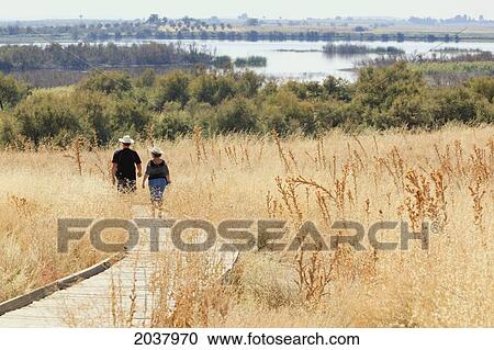 Stock Image - A Couple Walking On The Wooden Walkway Through Tablas De Daimiel National Park; Ciudad Real Province Spain. Fotosearch