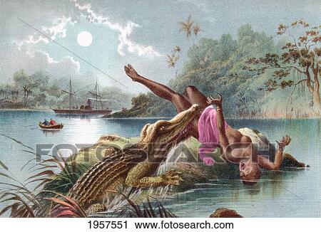 Stock Image - A Crocodile Attacking A Native Woman In Africa In The 19Th Century. From The Life And Explorations Of Dr. Livingstone Published C. 1875.. Fotosearch
