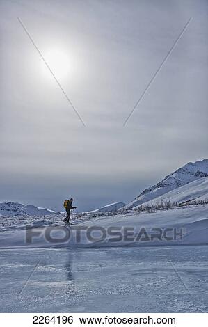 Stock Photograph - A cross-country skier in the klondike valley of tombstone territorial park; yukon canada. Fotosearch