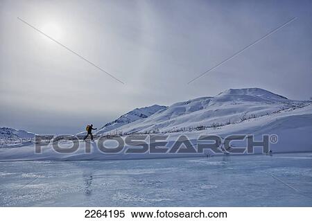 Stock Photography - A cross-country skier in the klondike valley of tombstone territorial park; yukon canada. Fotosearch