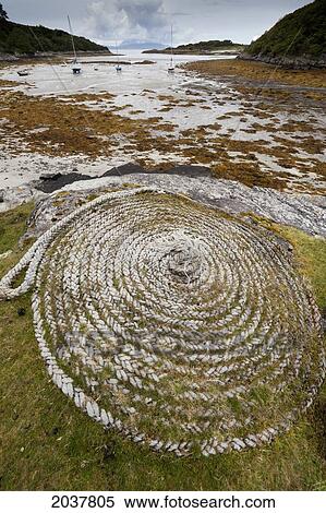 Stock Photography - A Curled Rope Left To Grow Into The Grass On The Shore; Arygll Scotland. Fotosearch