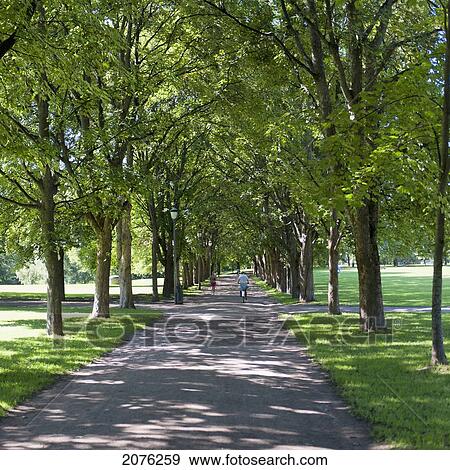 Stock Photo - A Cyclist And Pedestrian On A Tree Lined Path; Oslo Norway. Fotosearch